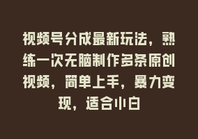 视频号分成最新玩法，熟练一次无脑制作多条原创视频，简单上手，暴力变现，适合小白868网课-868网课系统868网课系统