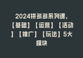 2024拼多多系列课，【基础】【运营】【活动】【推广】【玩法】5大模块868网课-868网课系统868网课系统