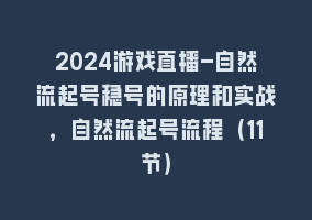 2024游戏直播-自然流起号稳号的原理和实战，自然流起号流程（11节）868网课-868网课系统868网课系统
