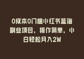 0成本0门槛小红书蓝海副业项目，操作简单，小白轻松月入2W868网课-868网课系统868网课系统