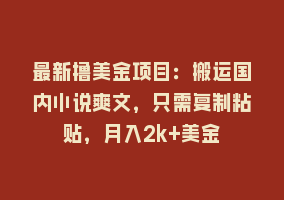 最新撸美金项目：搬运国内小说爽文，只需复制粘贴，月入2k+美金868网课-868网课系统868网课系统