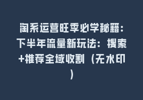 淘系运营旺季必学秘籍：下半年流量新玩法：搜索+推荐全域收割（无水印）868网课-868网课系统868网课系统