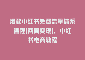 爆款小红书免费流量体系课程(两周变现)，小红书电商教程868网课-868网课系统868网课系统